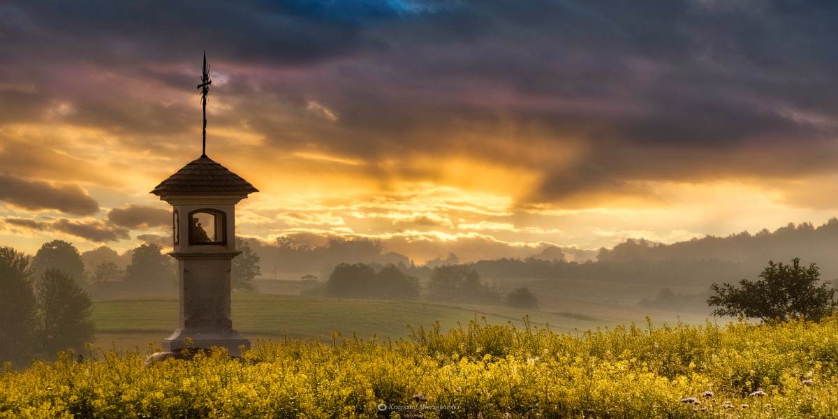 Krzysztof Mierzejewski – W poszukiwaniu światła