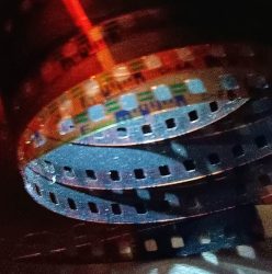 Haja Szejha – Urywki mojej rzeczywistości