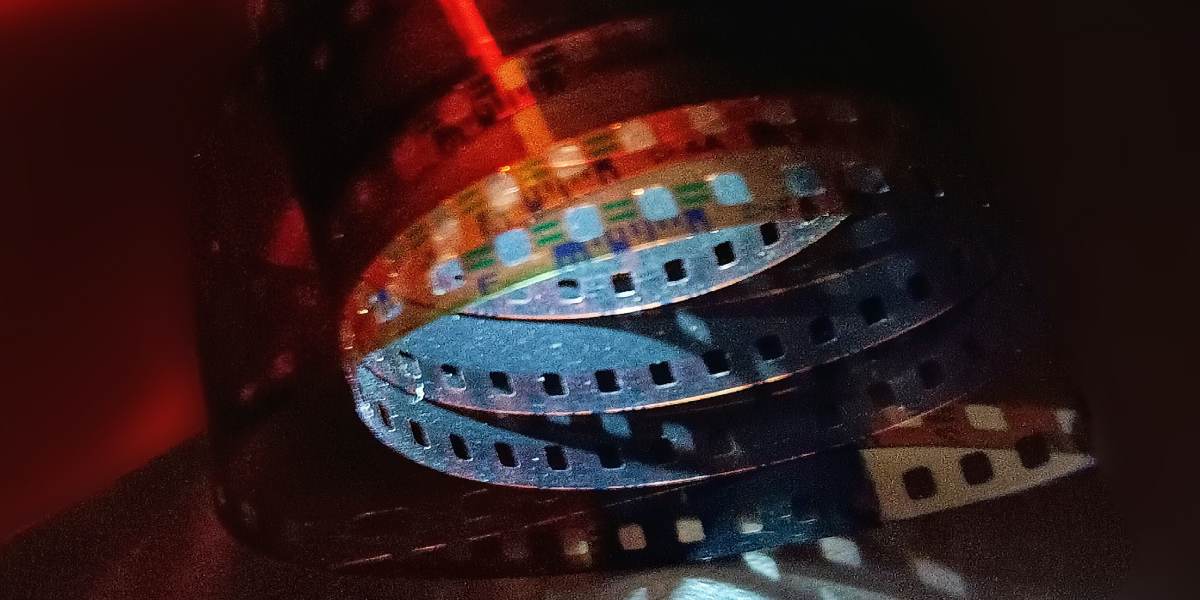 Haja Szejha – Urywki mojej rzeczywistości